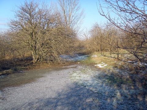 Foto 21